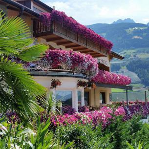 Blumenterrasse - Weinberg in Riffian